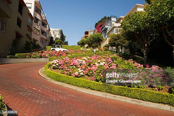 "low angle view of lombard street, san francisco, california, usa" - lombard street san francisco photos et images de collection
