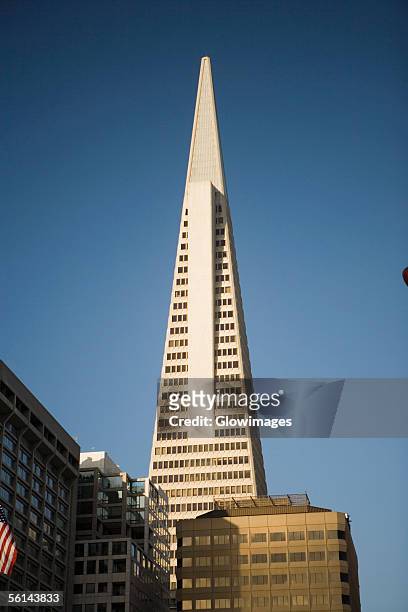 "low angle view of a building, transamerica pyramid, san francisco, california, usa" - transamerica pyramid stock-fotos und bilder