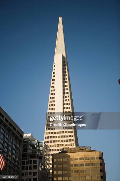"low angle view of a building, transamerica pyramid, san francisco, california, usa" - san francisco financial district stock pictures, royalty-free photos & images