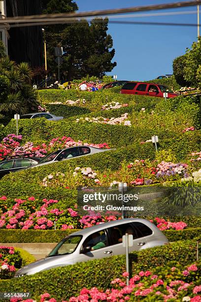 "low angle view of lombard street, san francisco, california, usa" - lombard street san francisco stock-fotos und bilder