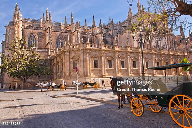 the cathedral in seville - animal powered vehicle stock pictures, royalty-free photos & images