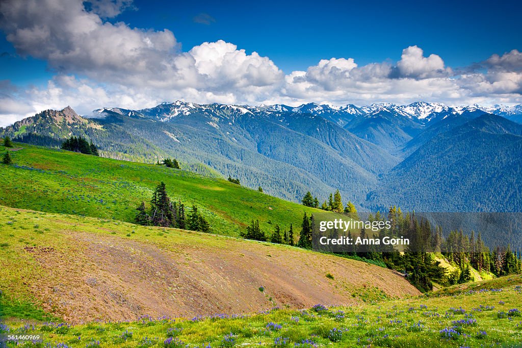 Hurricane Hill Hike Hiking top Hurricane - Main Image