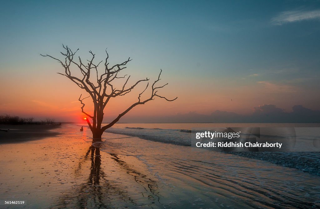 Dawn at Boneyard