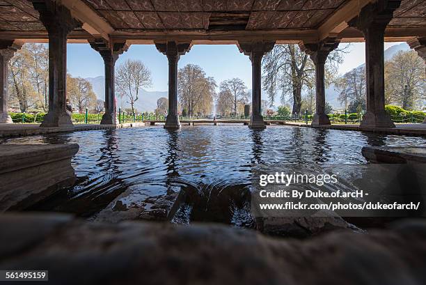 mughal gardens - kashmir stock pictures, royalty-free photos & images