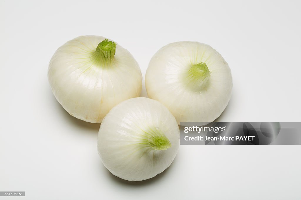 Three spring onion isolated on white background