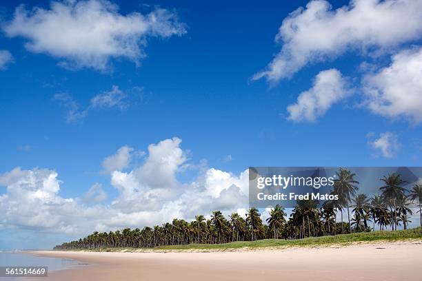 praia do francês - francês stock pictures, royalty-free photos & images