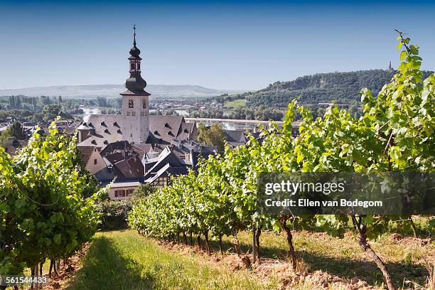 view through vineyard over rudesheim am rhein - hesse stockfoto's en -beelden