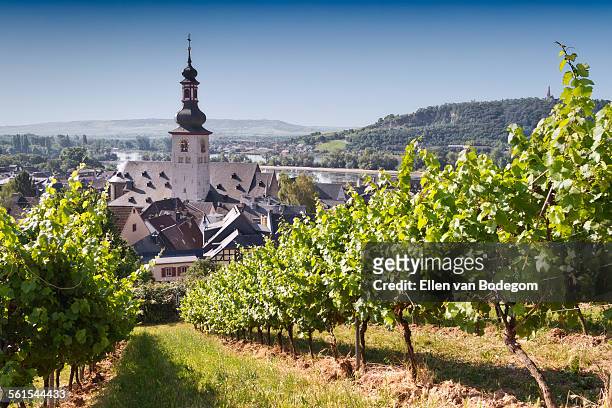 view through vineyard over rudesheim am rhein - hesse germany stock pictures, royalty-free photos & images