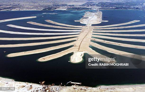 An aerial view taken from a helicopter at 3,000 feet shows the artificial Palm Island in Dubai 22 January 2004. The UAE emirate of Dubai 14 November...
