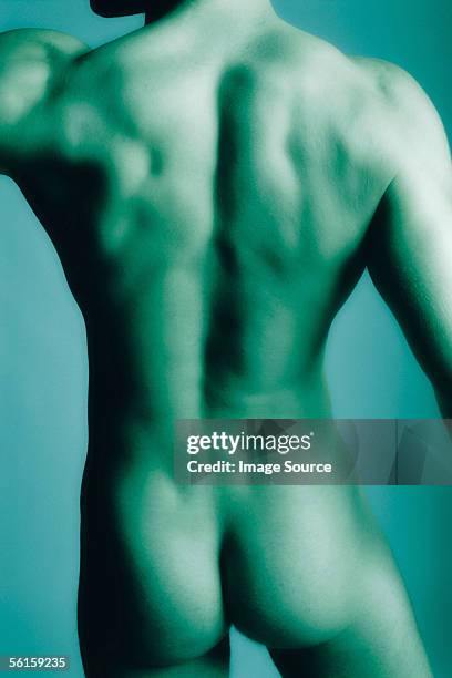 male nude - male buttocks stockfoto's en -beelden