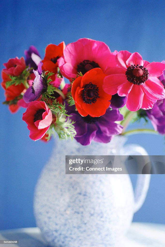 A vase of flowers