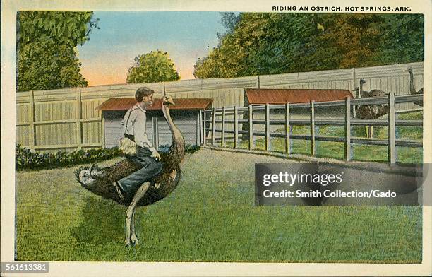 Man riding an ostrich at Hot Springs, Arkansas, 1943.