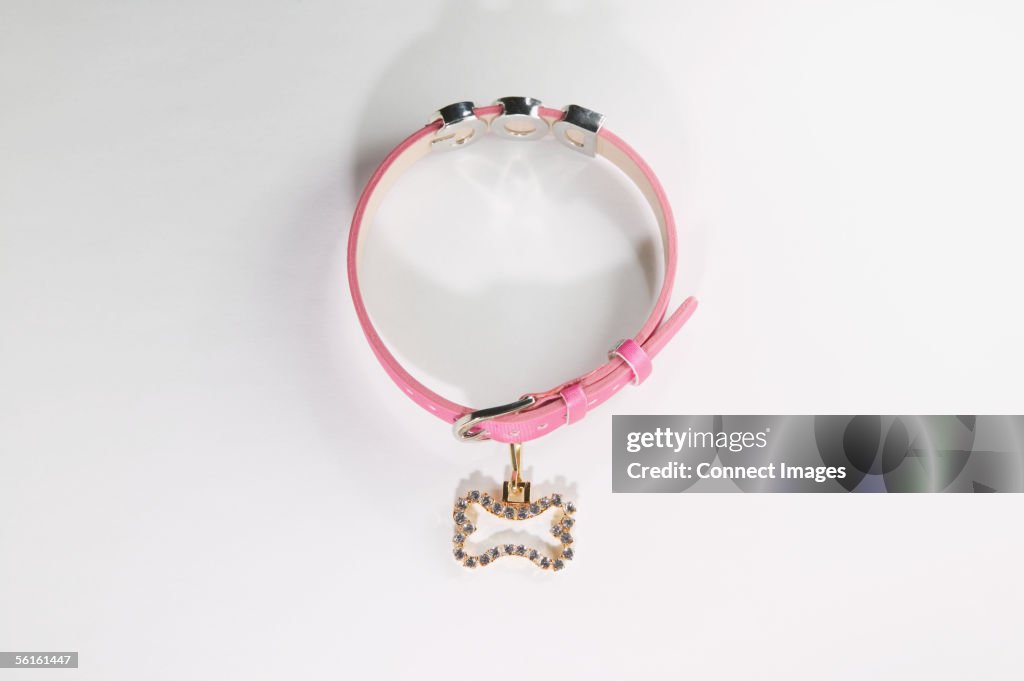 Pink dog collar