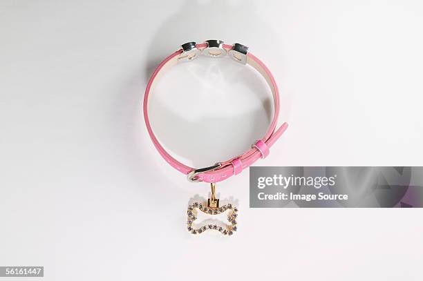 pink dog collar - collar stock-fotos und bilder
