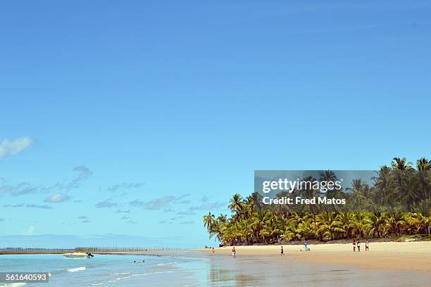 fishing beach - maceió imagens e fotografias de stock