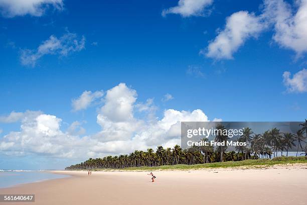 praia do francês - francês stock pictures, royalty-free photos & images