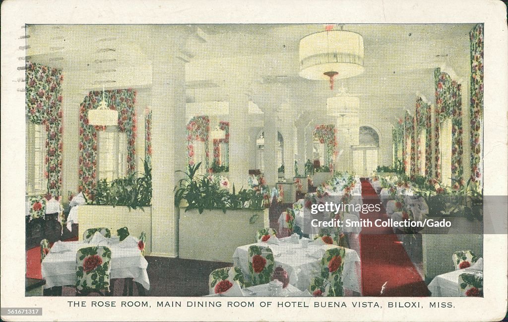 Rose Room In The Hotel Buena