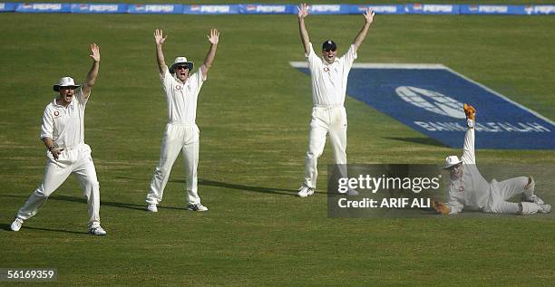 England wicketkeeper Geraint Jones and teammates unsuccesfully appeal for a Leg Before Wicket decision against Pakistani cricket captain...