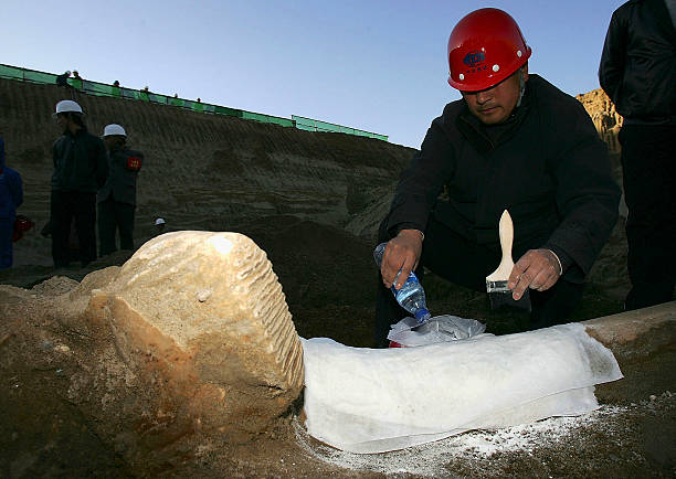 A Whole Tooth Of A Palaeoloxodon Excavated In Beijing