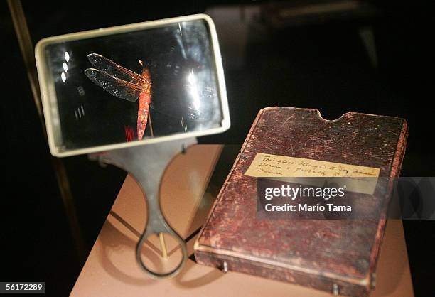 Darwin's magnifying glass is seen at a press preview of the new "Darwin" exhibition at the American Museum of Natural History November 15, 2005 in...