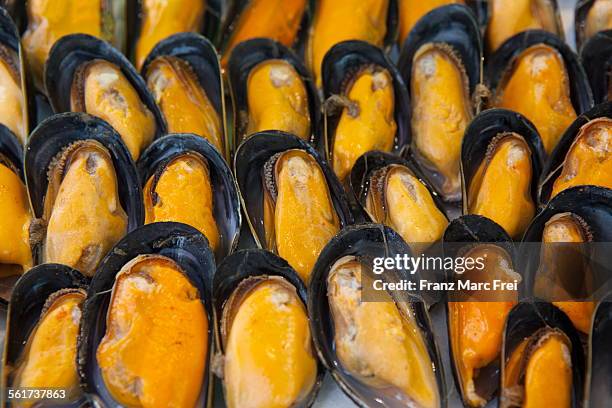 moules at the fish monger - mussel stock pictures, royalty-free photos & images