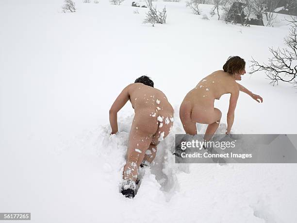 naked couple playing in the snow - drops back stock pictures, royalty-free photos & images