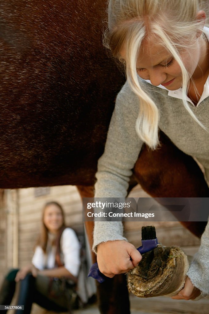 Young woman cleaning horse's hoof