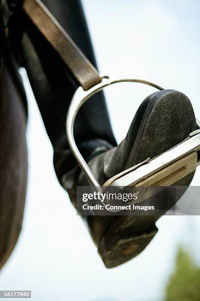 a foot in a stirrup - stirrup stock pictures, royalty-free photos & images