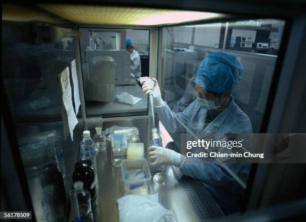 Researchers work at the Beijing Genomics Institute April 11, 2005 in Beijing, China. Researchers there have decoded the rice genome and worked to...