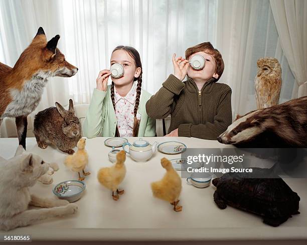 los niños con un té fiesta con animales - reglas de sociedad fotografías e imágenes de stock