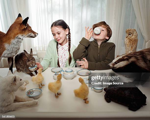 los niños con un té fiesta con animales - grupo grande de animales fotografías e imágenes de stock