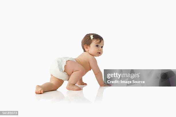 baby girl crawling - baby on white stock-fotos und bilder