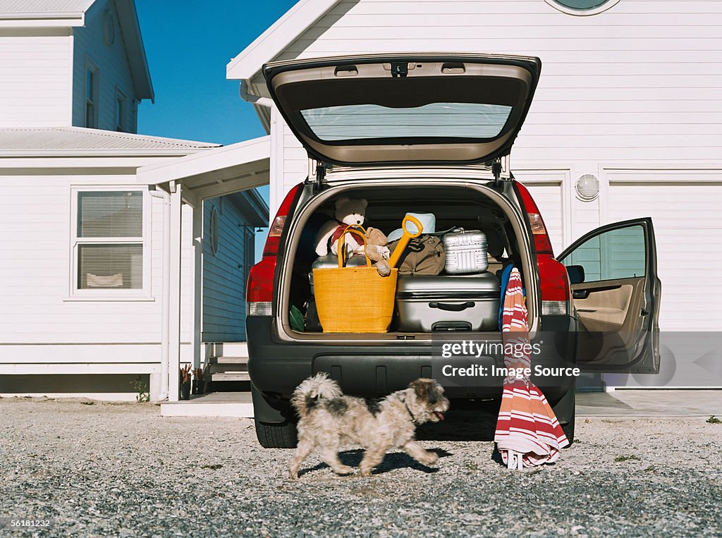 Dog by car full of luggage