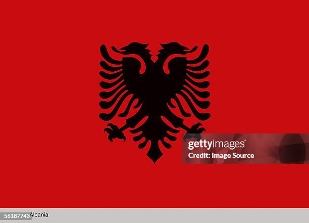 Bandiera Di Albania - Immagini vettoriali stock e altre immagini di Albania  - Albania, Aquila, Bandiera albanese - iStock