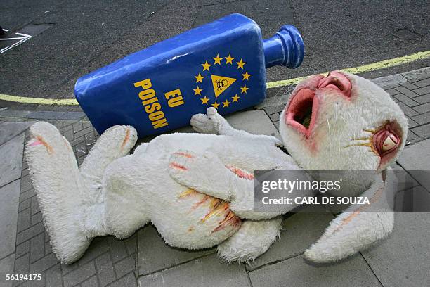 Union The Rabbit 45 British Rabbit Council Stock Photos, High-Res Pictures, and Images ...