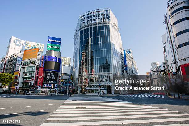 empty shibuya crossing in the morning, tokyo,japan - 渋谷区 ストックフォトと画像