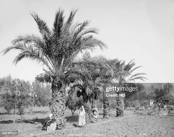 Misserghin Photos and Premium High Res Pictures Getty Images