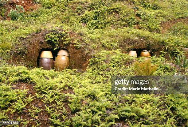 Vicinities of Canton . Funeral urns on the hillside. 1982.