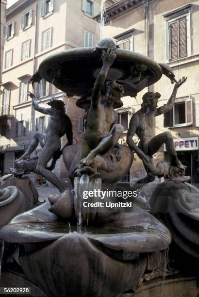 Tortoise Rome 214 Roman Tortoise Stock Photos, High-Res Pictures, and Images - Getty ...