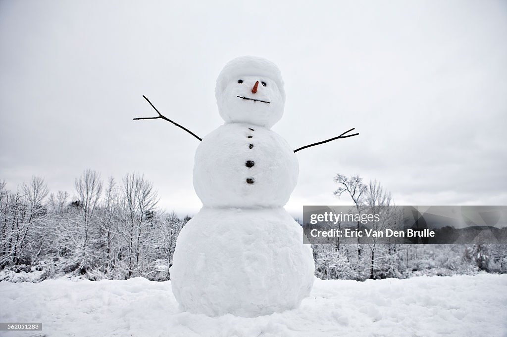 Snow Man with tree line and white sky