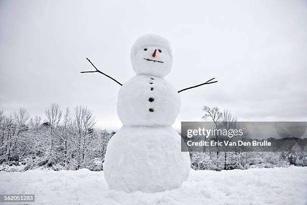 snow man with tree line and white sky - eric van den brulle stock pictures, royalty-free photos & images