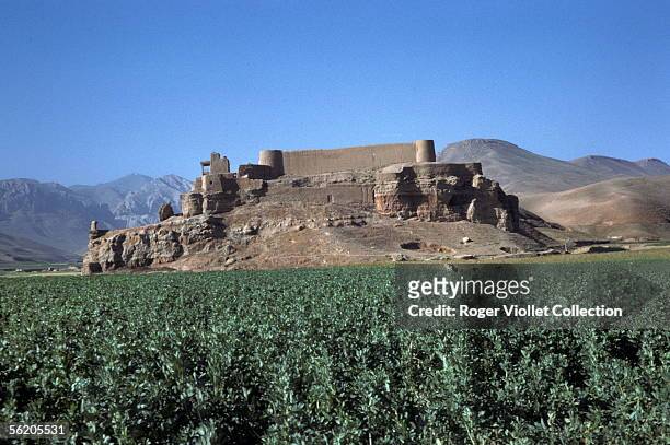 Vicinities of Bamiyan . The red city, destroyed by Gengis Khan . October 1975.