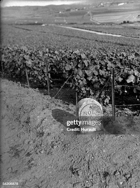 Marker of the vineyard "Moet et Chandon" in Champagne. France, about 1935.