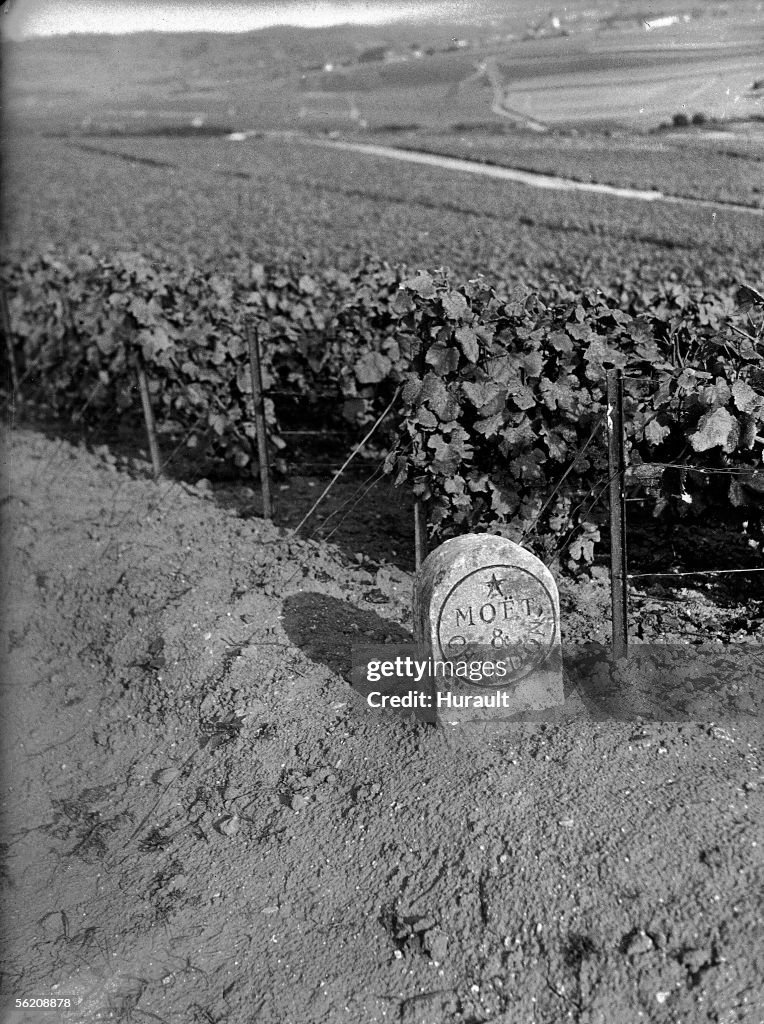 Marker of the vineyard Moet et Chandon in Champa