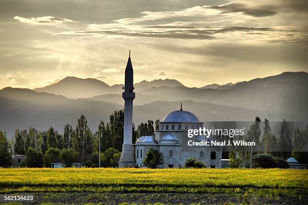 kyrgyzstan - kyrgyzstan stock pictures, royalty-free photos & images