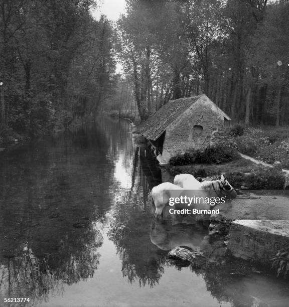 Landscape of Fresh water. France, about 1935.
