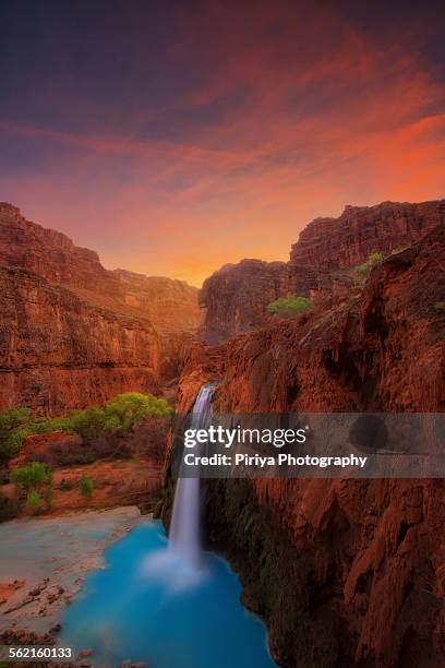 havasu falls - havasu falls stockfoto's en -beelden