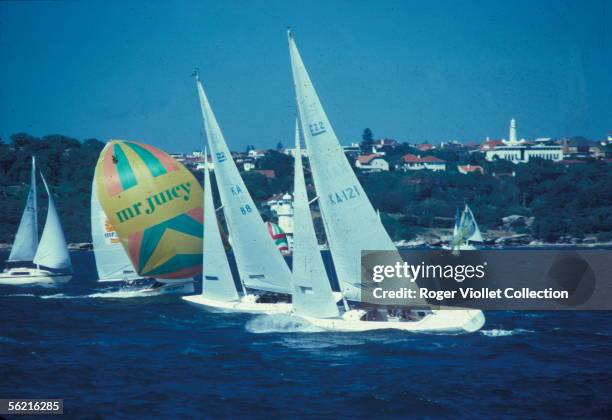 Regatta. Sydney .