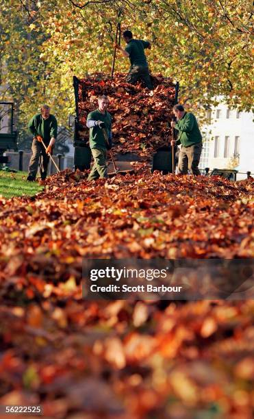 Workmen clear up autumn leaves in Green Park on November 18, 2005 in London, England. Temperatures have been below freezing overnight in London as a...