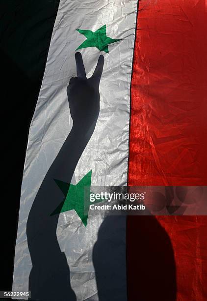 palestinians hold pro-syrian demonstration - palestinian flag stock pictures, royalty-free photos & images